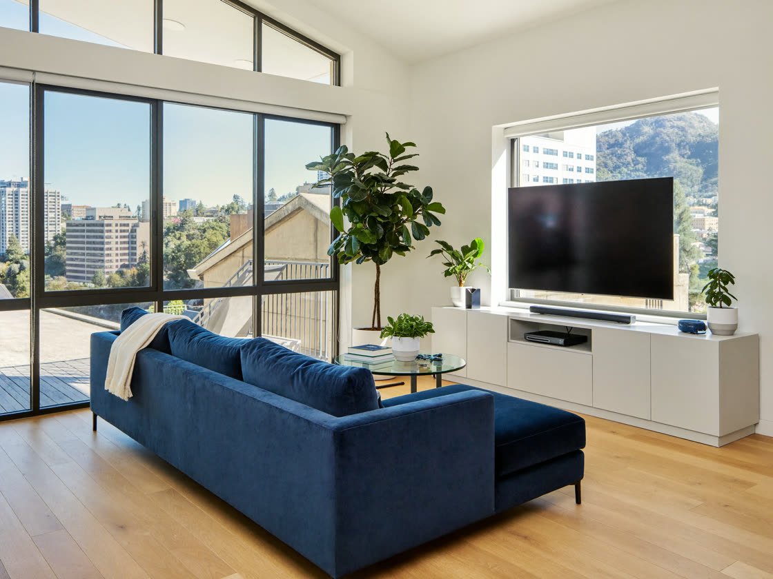 Bright, sunlit modern apartment living room near the Mission with a blue sofa, plants and big windows