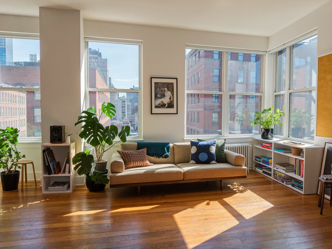 Bright Brooklyn apartment living room with tan sofa, plants, bookshelf and big daylight windows